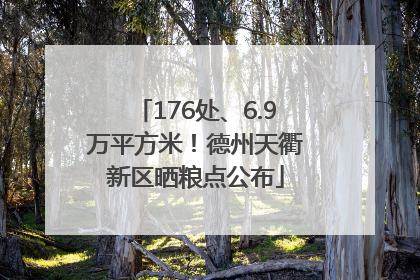 176处、6.9万平方米！德州天衢新区晒粮点公布